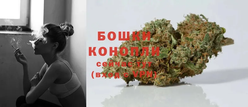 Каннабис Ganja  Аша 